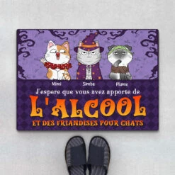 J'espère Que Vous Avez Apporté De L'alcool Et Des Friandises Pour Chats - Cadeau Personnalisé | Paillasson Pour Amoureux Des Animaux