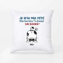 Coussin Chat Humour Personnalisé