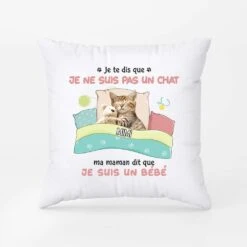 Je Te Dis Que Je Ne Suis Pas Un Chat - Cadeau Personnalisé | Coussin Pour Amoureux Des Chats