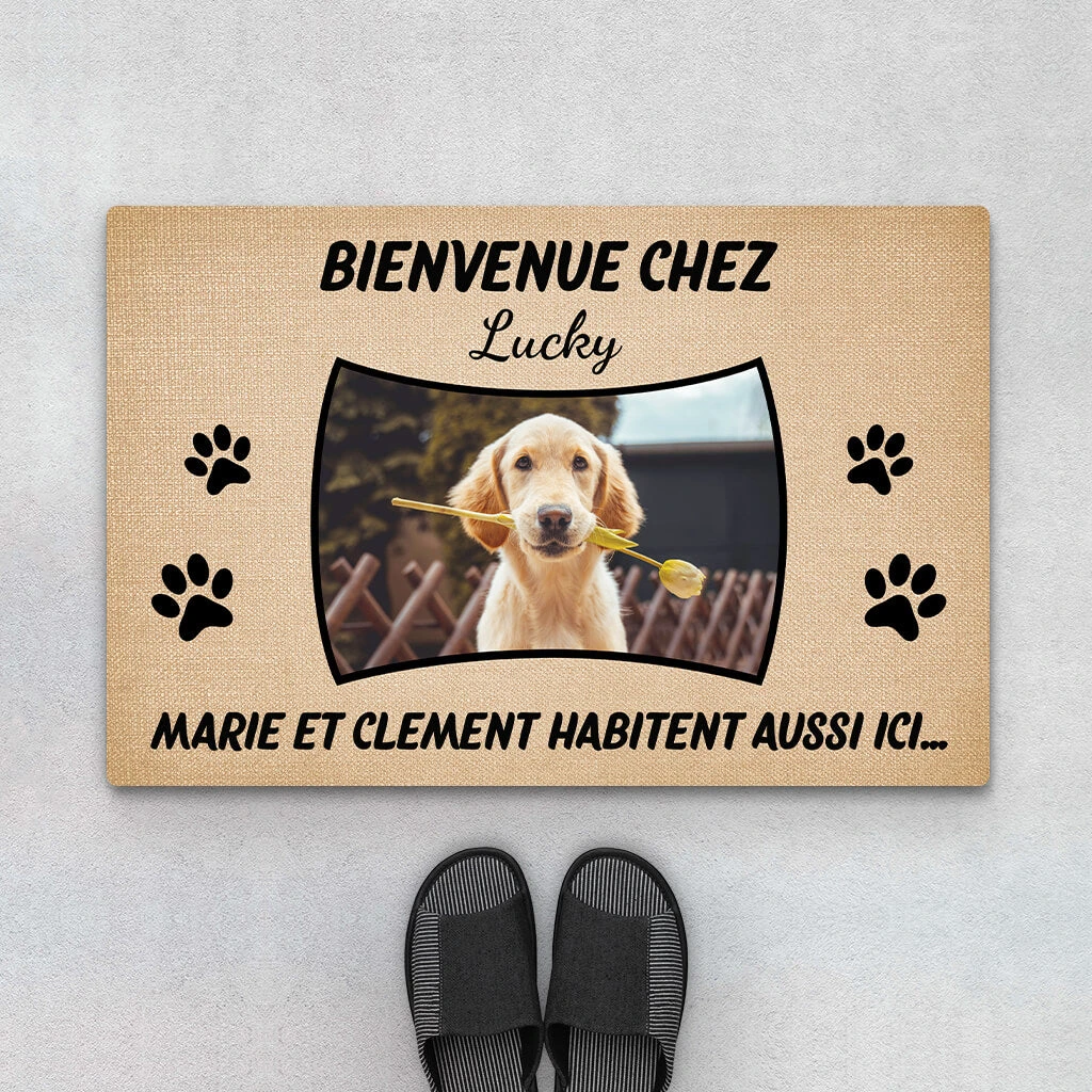 Les Chiens Habitent Aussi Ici Avec Photo - Cadeau Personnalisé | Paillasson Pour Amoureux Des Animaux 1 Les Chiens Habitent Aussi Ici Avec Photo - Cadeau Personnalisé | Paillasson Pour Amoureux Des Animaux