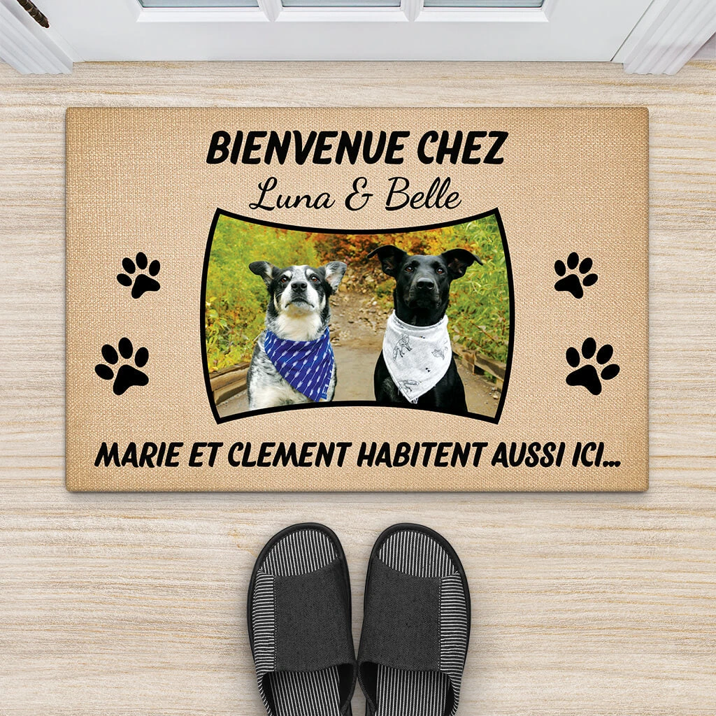 Les Chiens Habitent Aussi Ici Avec Photo - Cadeau Personnalisé | Paillasson Pour Amoureux Des Animaux 2 Les Chiens Habitent Aussi Ici Avec Photo - Cadeau Personnalisé | Paillasson Pour Amoureux Des Animaux – Image 2