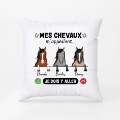 Un Appel De Mon Cheval - Cadeau Personnalisé | Coussin Pour Amoureux Des Animaux