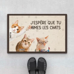 J'espère Que Tu Aimes Les Chats Avec Photo - Paillasson Personnalisé