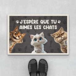 J'espère Que Tu Aimes Les Chats Design Cartoon - Paillasson Personnalisé