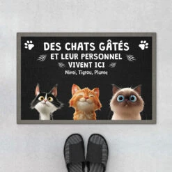 Chat Dessin Humour - Cadeau Personnalisé | Paillasson Pour Amoureux Des Chats