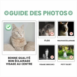 Tous Les Visiteurs - Cadeau Personnalisé | Paillasson Pour Amoureux Des Chats Et Des Chiens -Vivelamode Soldes Magasin PHOTOGUIDELINEMEOPHAP
